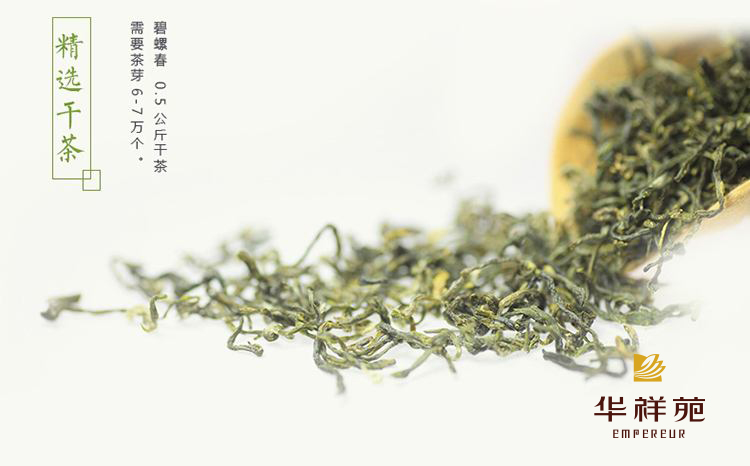 碧螺春的功效與作用