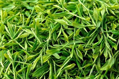 綠茶的保存方法